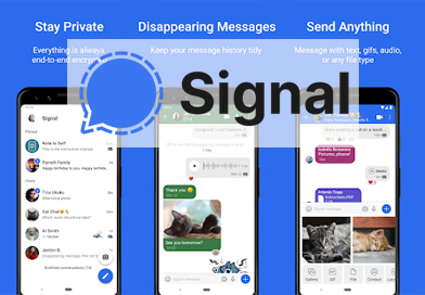 Signal vs whatsapp