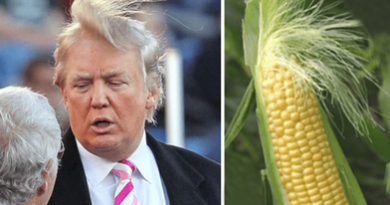 Hilarious Pictures That Look Just Like Donald Trump